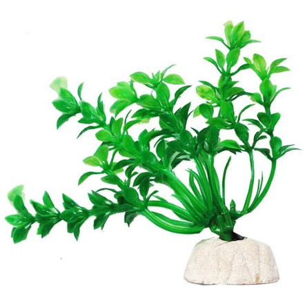 УЮТ Растение аквариумное Гемиантус зеленый – интернет-магазин Ле’Муррр