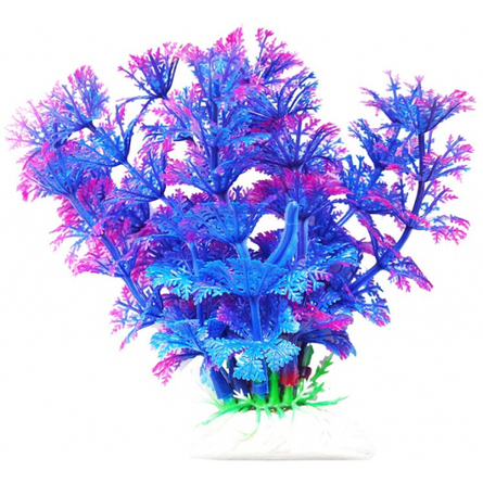 УЮТ Растение аквариумное Амбулия сине-фиолетовая – интернет-магазин Ле’Муррр