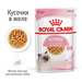 Royal Canin Kitten Jelly Корм консервированный полнорационный для кошек - Специально для котят в период второй фазы роста в возрасте до 12 месяцев, кусочки в желе – интернет-магазин Ле’Муррр