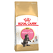 Royal Canin Maine Coon Kitten Сухой корм для котят породы Мейн-кун – интернет-магазин Ле’Муррр