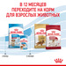 Royal Canin Medium Puppy Корм сухой для щенков средних размеров до 12 месяцев – интернет-магазин Ле’Муррр